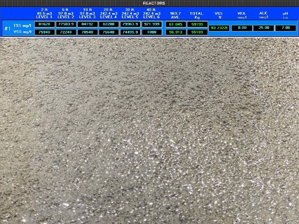 Seed Sludge Used to Help Anaerobic Digestion