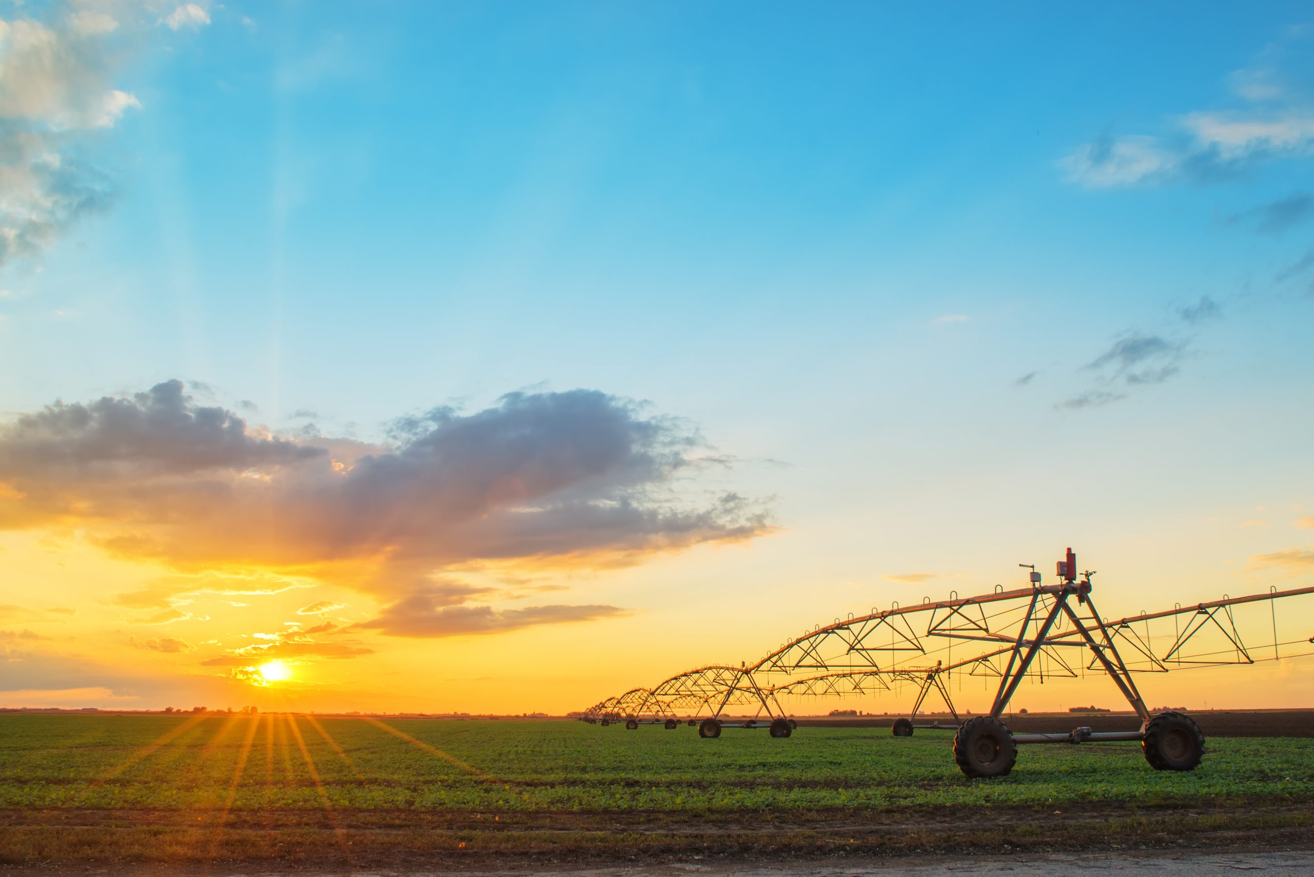 Automated farming irrigation sprinklers system on cultivated agricultural landscape field in sunset